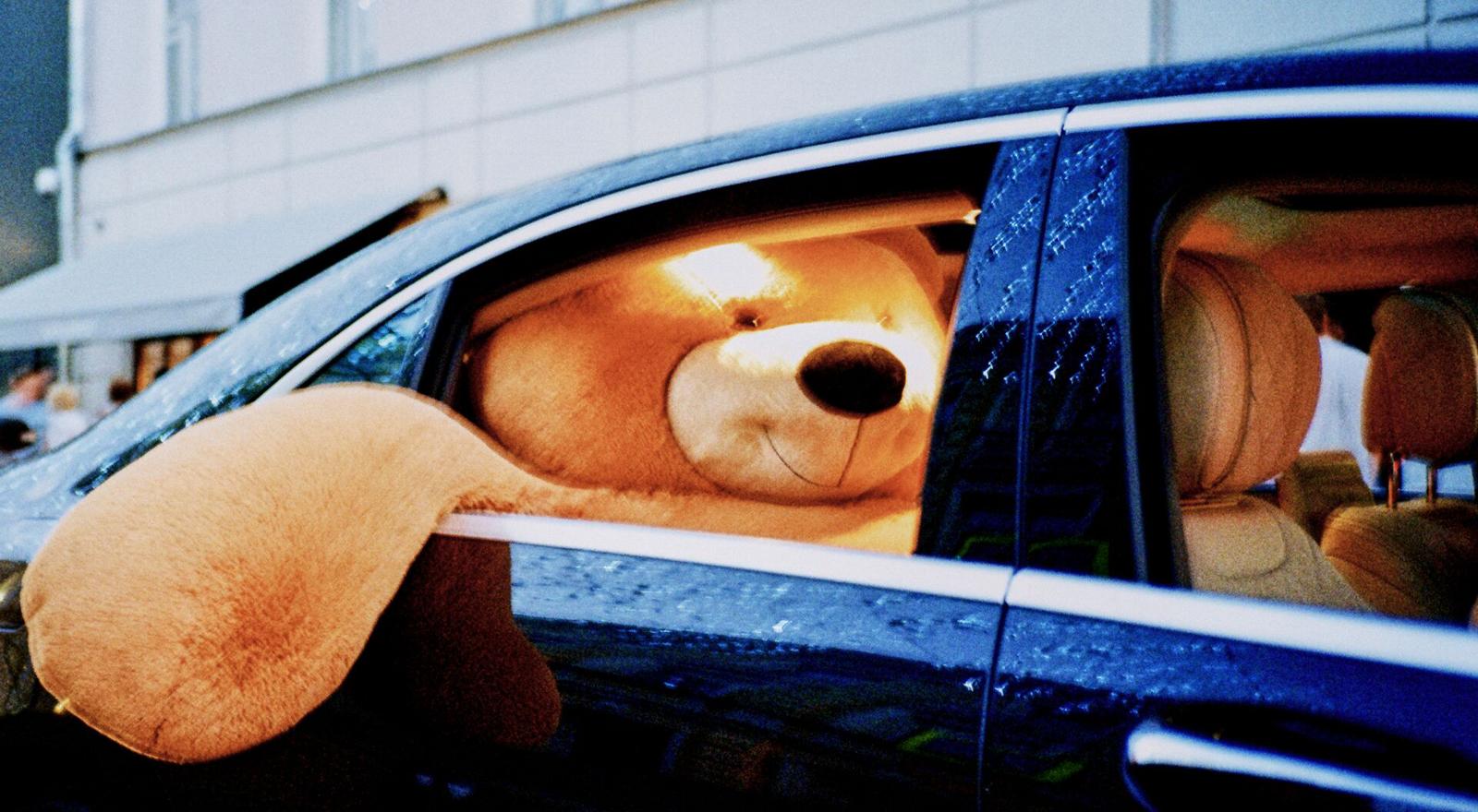 Large Web and Screen Large teddie bear in the back seat of rideshare car in downtown streets