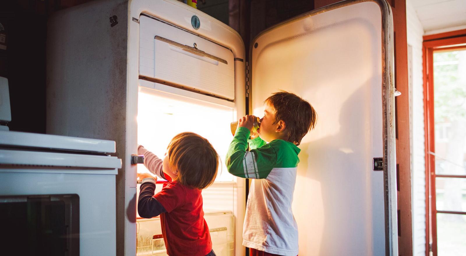 Large Web and Screen Two boys looking for food in refrigerator