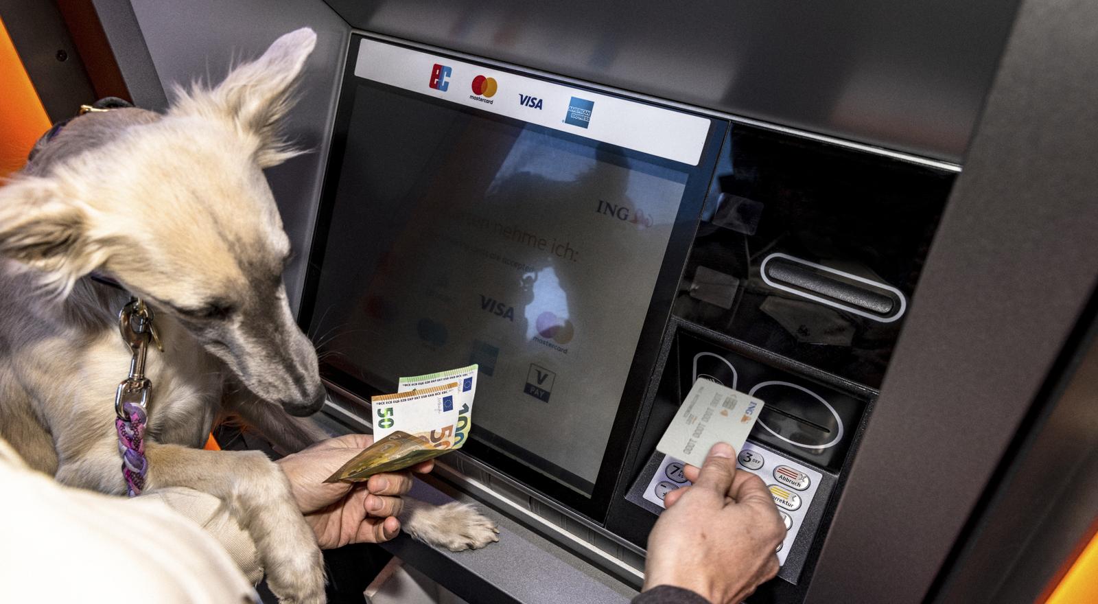 Limite pagamento in contanti