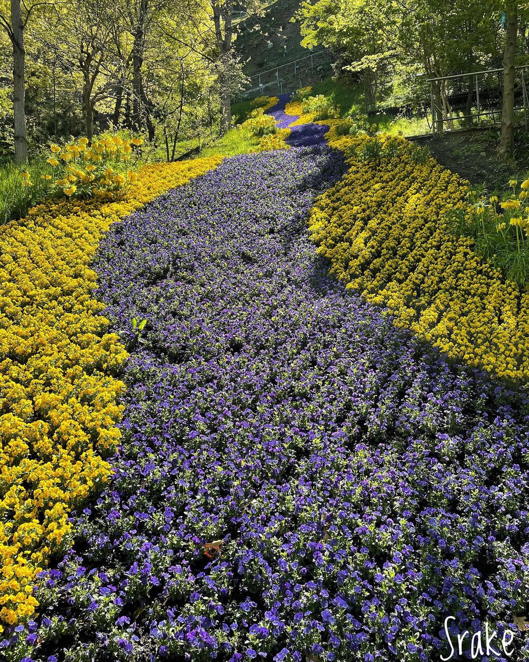 Simone Colombo Instagram Profile