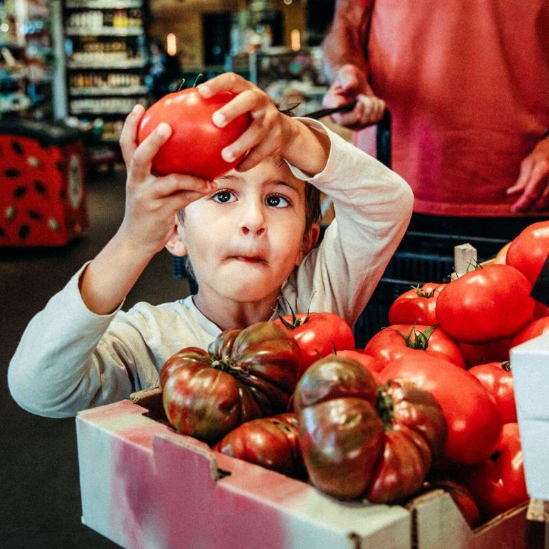 Young boy picking a large tomato in a supermarket to help his father
